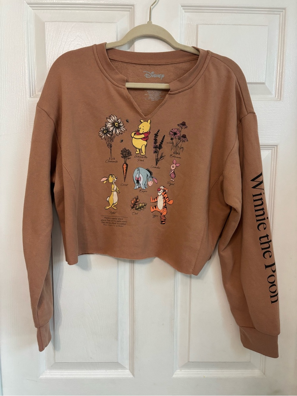 Disney Winnie the Pooh Cottage Core Grunge Cropped Pullover Brown, Yellow, Pink